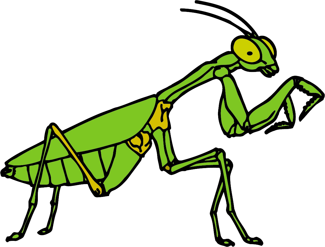 Free Clipart Praying Mantis (1117x848), Png Download