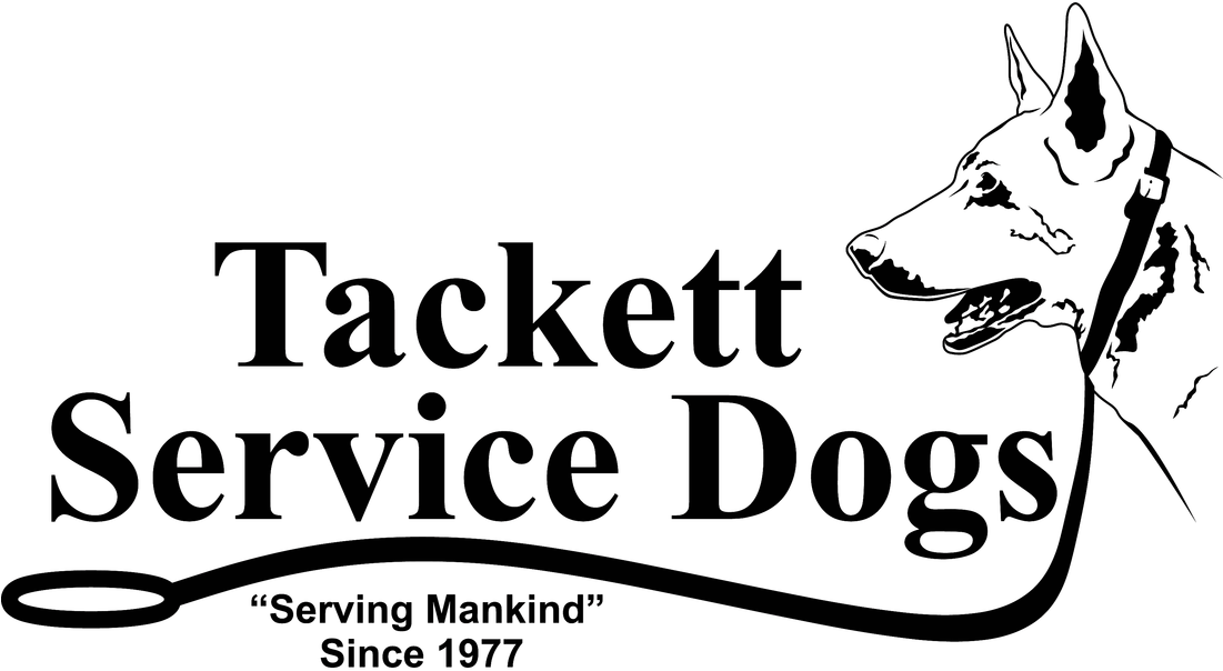 "training Dogs For Today's Families" - Skuttle Product 000-0814-097 (1100x612), Png Download