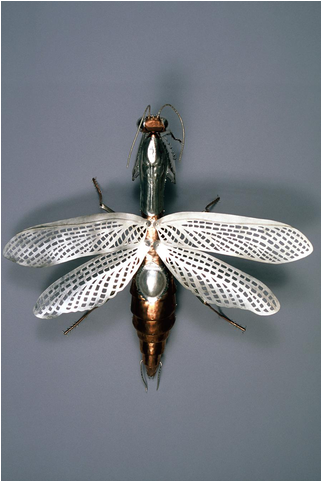 Net-winged Insects (960x480), Png Download