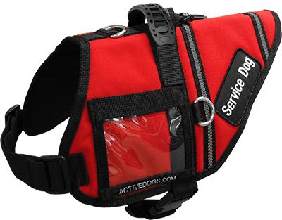 707549-22a M - Service Dog Vest Transparent (400x313), Png Download