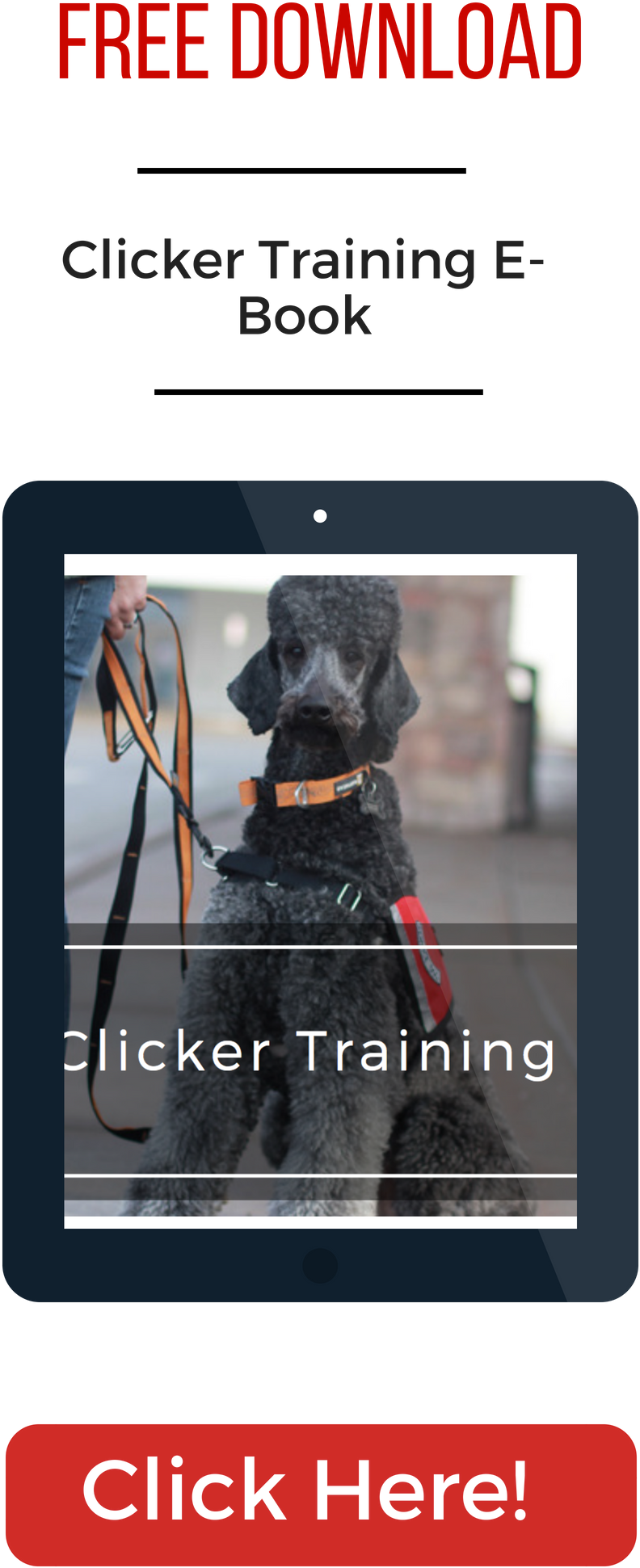 My Service Dog - Uam (816x2112), Png Download