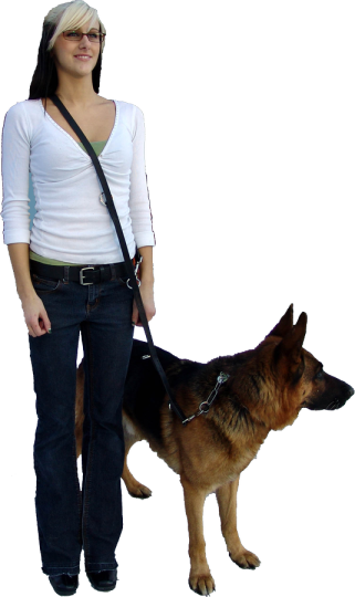 Working Service Dog - Old German Shepherd Dog (321x540), Png Download