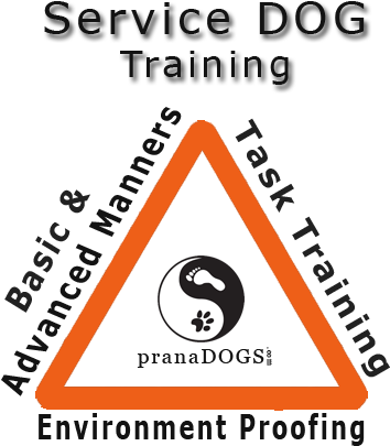 Pranadogs Service Dogs - Nockralingen (362x429), Png Download