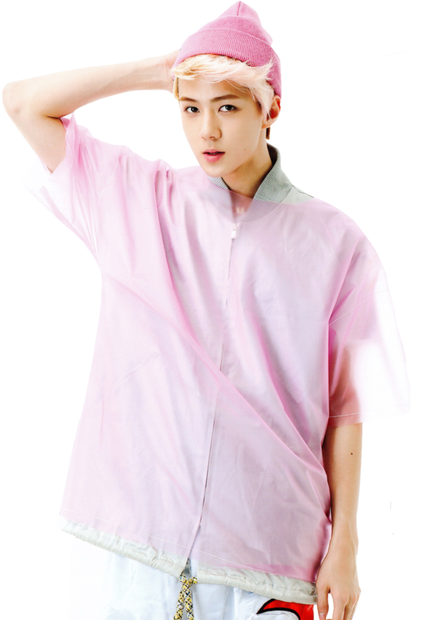 P#bang Yongguk#moon Jongup#choi Junhong#kim Himchan#jung - Sehun Pink (737x894), Png Download