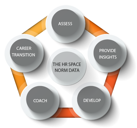 Hr Assess - Circle (483x452), Png Download