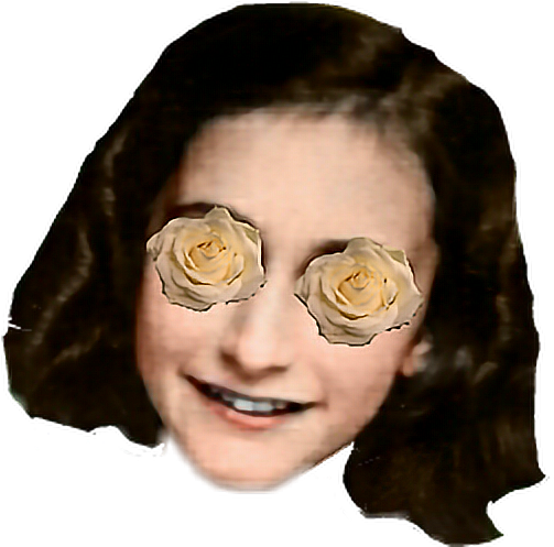 Rose Whiterose Anne Annefrank Flower Beauty Peace - Anne Frank (538x496), Png Download