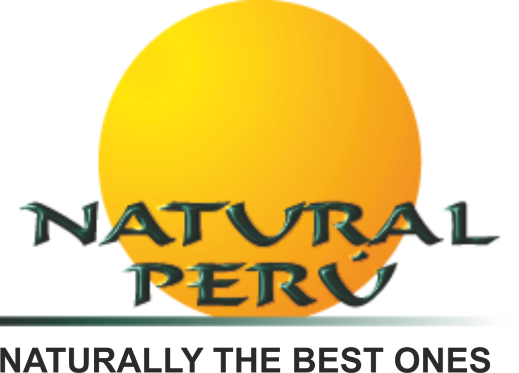 Logo (1024x736), Png Download
