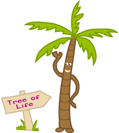 Coconut Palm Tree - Coconut (402x451), Png Download