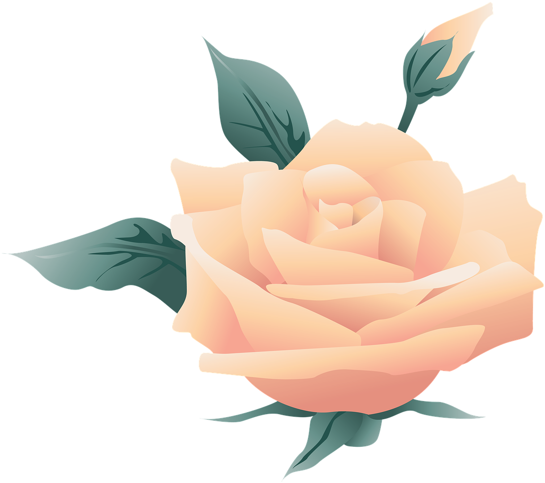 Wedding, Flower, Symbol, Rose, Nature, Floral - Blog (1280x1133), Png Download
