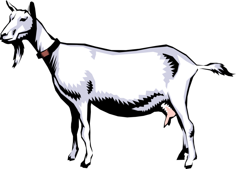 Vector Illustration Of Domestic Billy Goat - Saanen Goat Clipart (973x700), Png Download