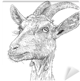 A Vector Drawing Wall Mural • Pixers® • We Live To - Chewing The Page: The Mourning Goats Interviews (400x400), Png Download