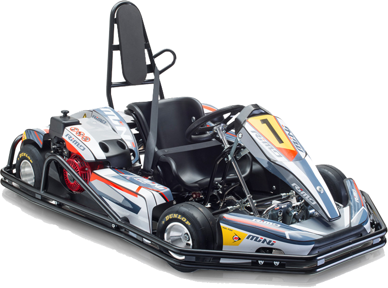 Rimo Mini Lpg Go Kart - Rimo Kart (765x569), Png Download