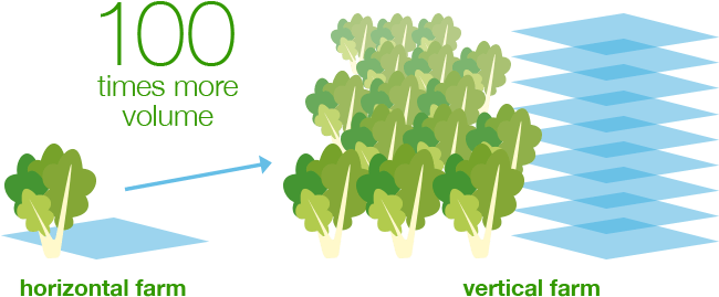The World's Largest Vertical Farm - Horizontal Vs Vertical Farming (649x290), Png Download