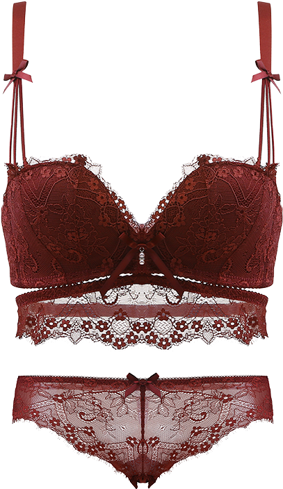 Model Number - Omr531 - - Lingerie Top (800x800), Png Download