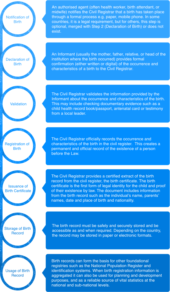 The Process - Portable Network Graphics (668x1147), Png Download