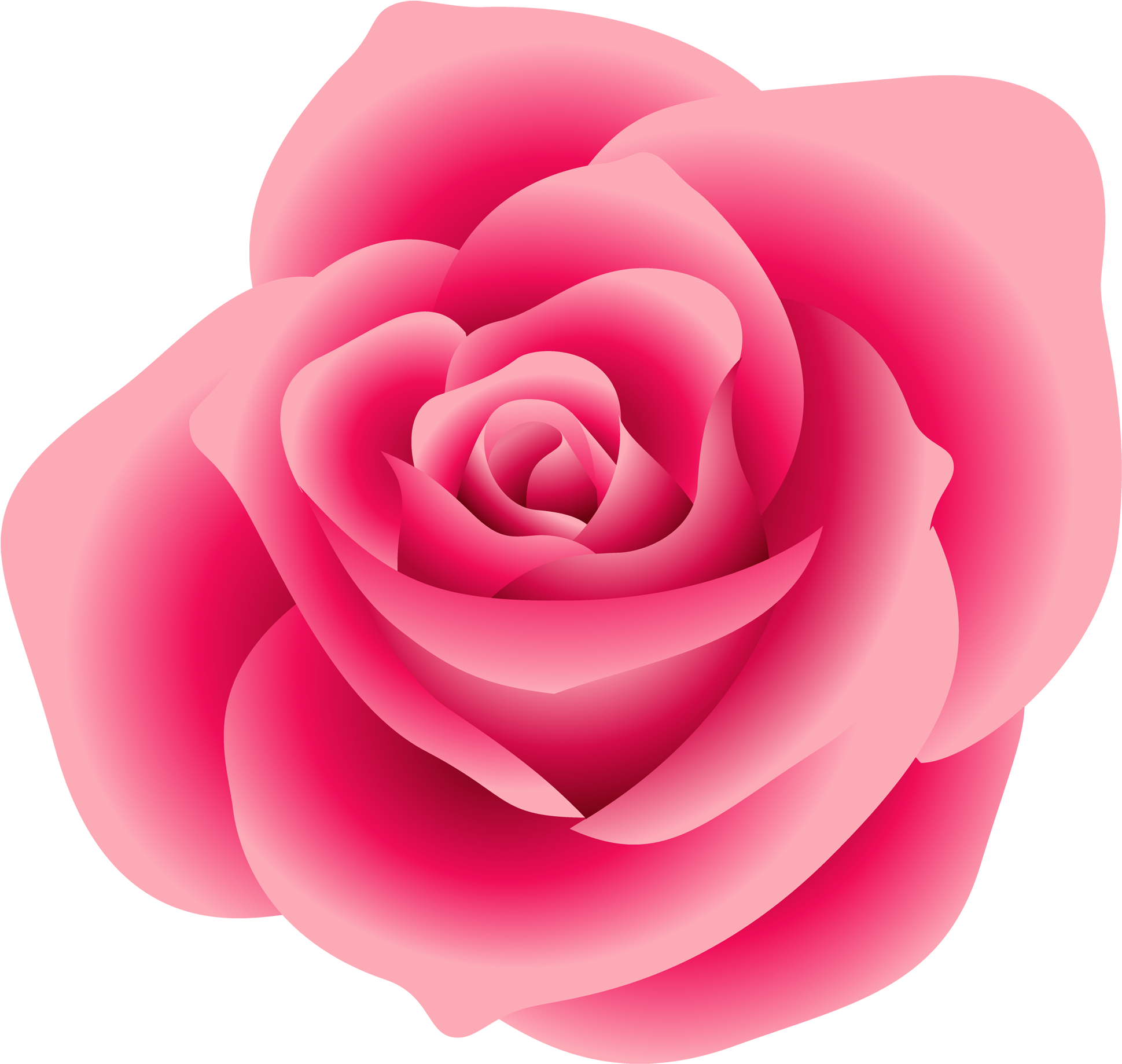 White Rose Clipart Real - Pink Rose Flower Clip Art (2000x1892), Png Download