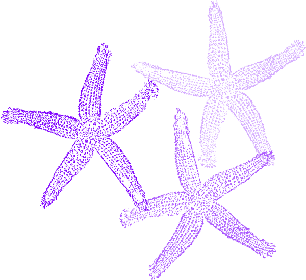 Coral Starfish Clip Art At Clker - Transparent Coral Vector Png (600x549), Png Download