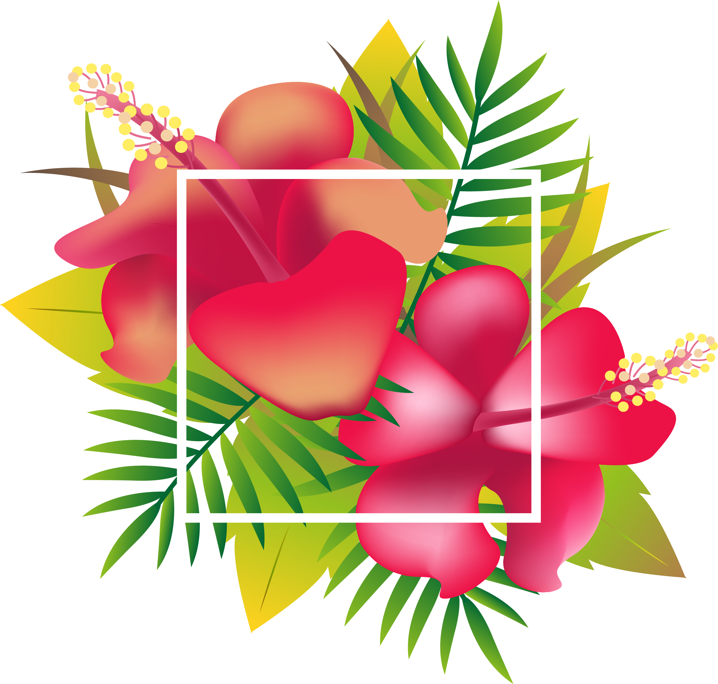 Header Floral Design Tropics - Tropical Leaves Header Png (2448x2331), Png Download