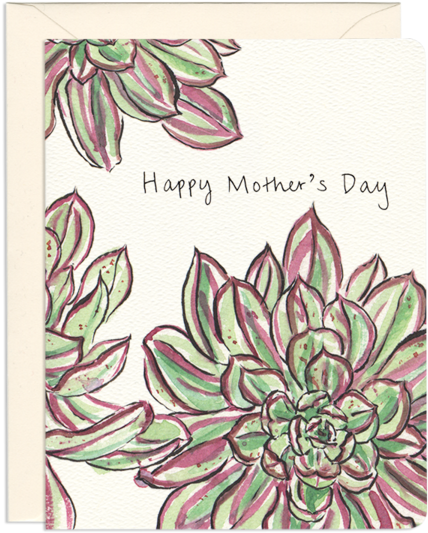 Mother's Day Plant Greeting Card - Succulent Card (600x600), Png Download