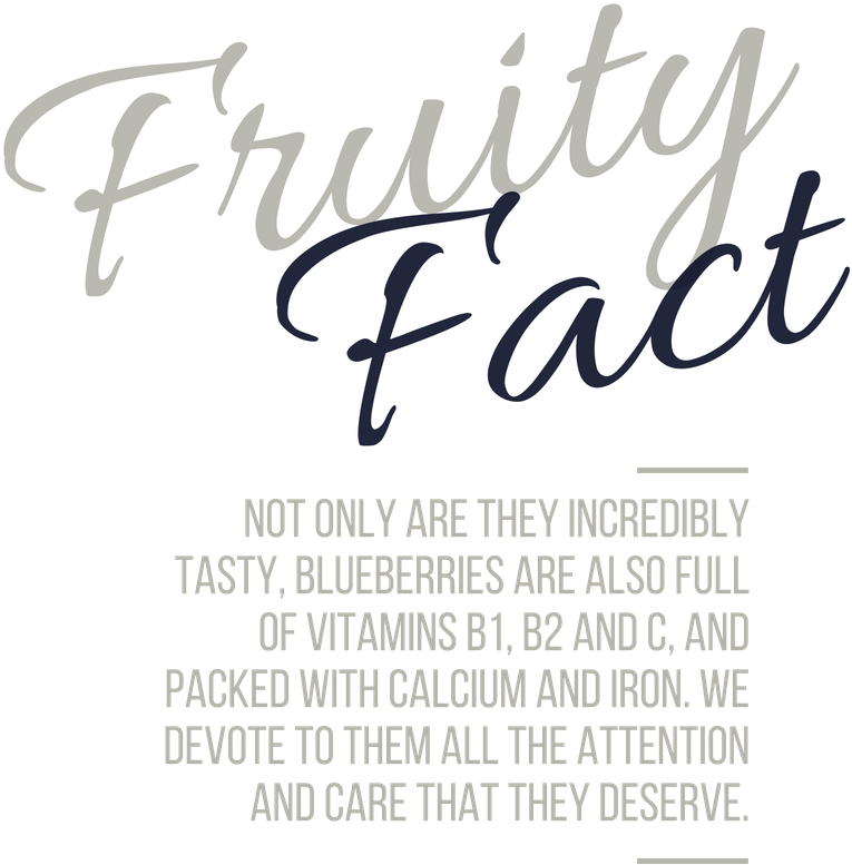 Fruity Fact-blueberry - Faith And Family: Thoughts, Prayers And Sermons [book] (800x800), Png Download