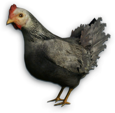 Black Chicken Png - Far Cry 3 (395x394), Png Download