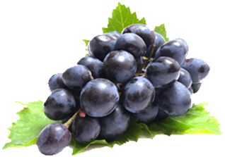 Grapes - Topco Sales Liquid Sex Tingling Gel For Her Grape Flavored (400x400), Png Download