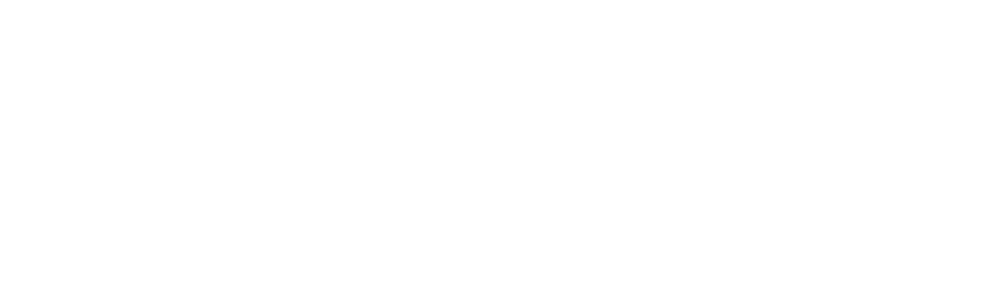 Octopus (1000x284), Png Download