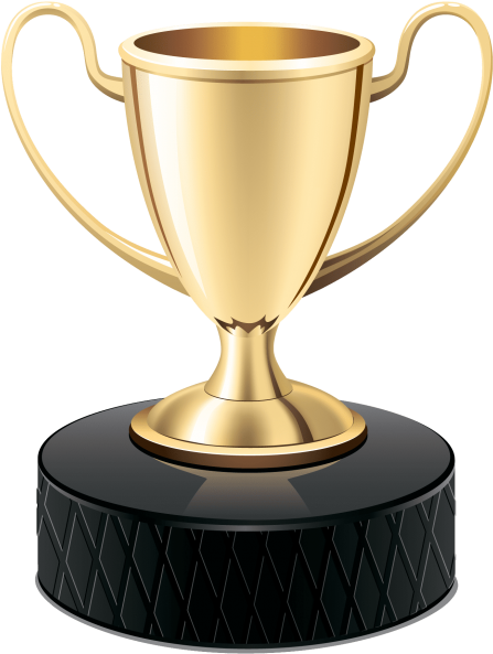 Golden Cup Png Free Images Toppng Transparent - Medal Trophy (480x620), Png Download