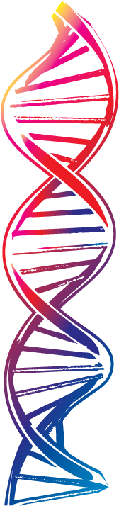 Warehousing & Logistics - Transparent Background Dna Png (208x736), Png Download