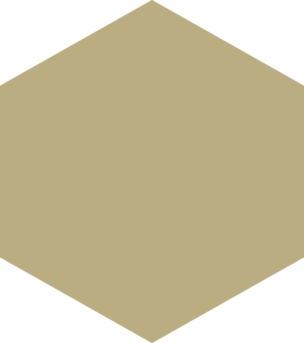 Download Hd Highfashioncontent Image Royalty Free Library Gold Hexagon Png Transparent Png Image Nicepng Com