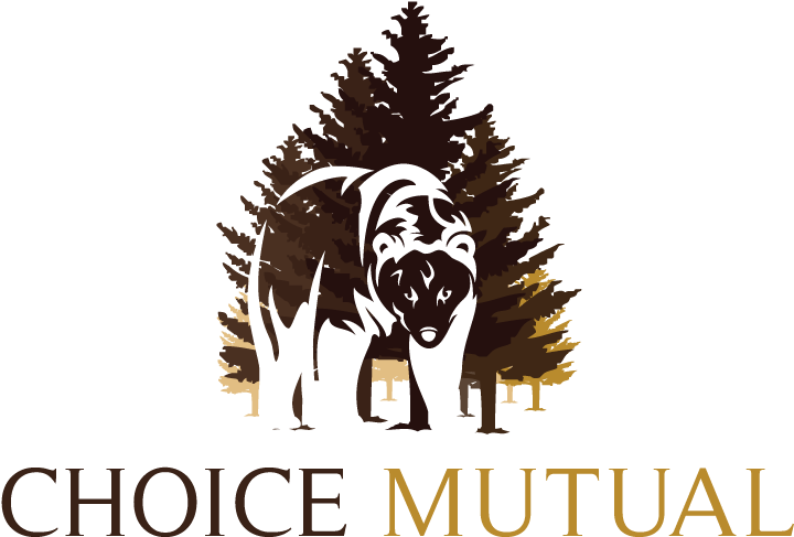 Choice Mutual Logo - Choice Mutual (1200x600), Png Download