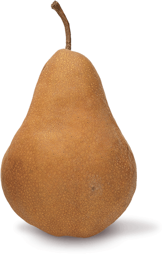 Bosc - Bosc Pear (500x500), Png Download