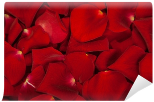 Rose Petals Png (400x400), Png Download