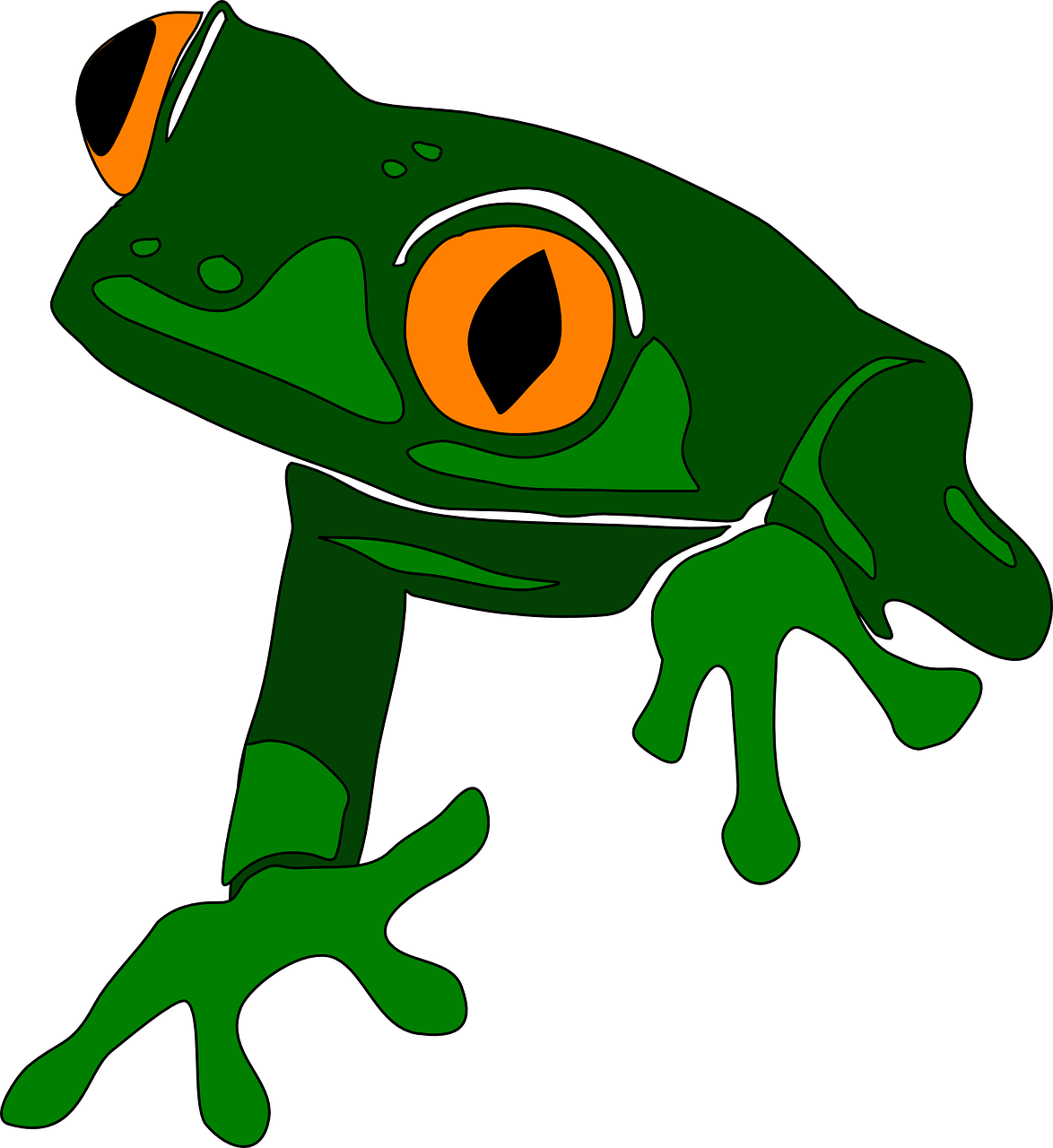 Free - Frog Clip Art (1174x1280), Png Download