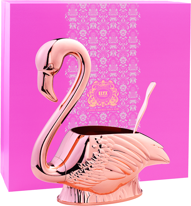 Greater Flamingo (1000x1000), Png Download