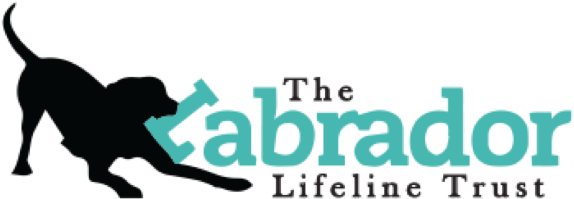 Labrador Lifeline Trust (594x395), Png Download