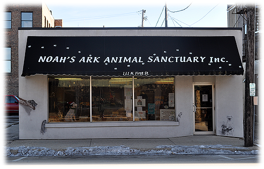 Noah's Ark Animal Sanctuary - Noah's Ark Rockford (590x390), Png Download