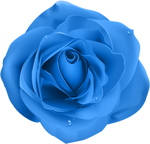 0, - Purple Rose Transparent (600x575), Png Download