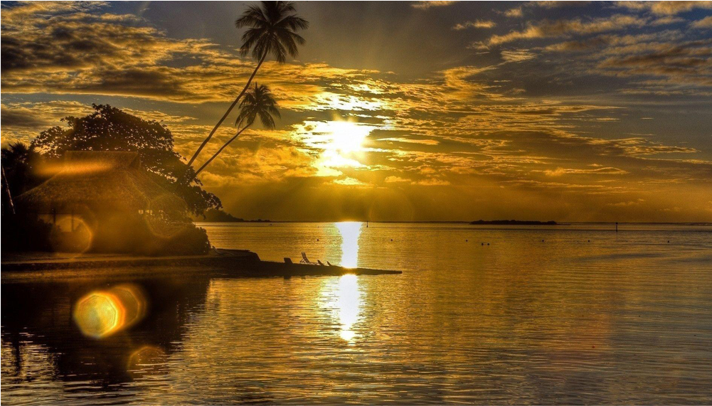 Score 50% (1000x1000), Png Download