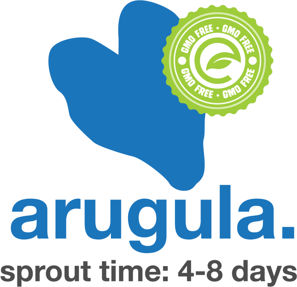 Arugula - Graphic Design (1000x987), Png Download