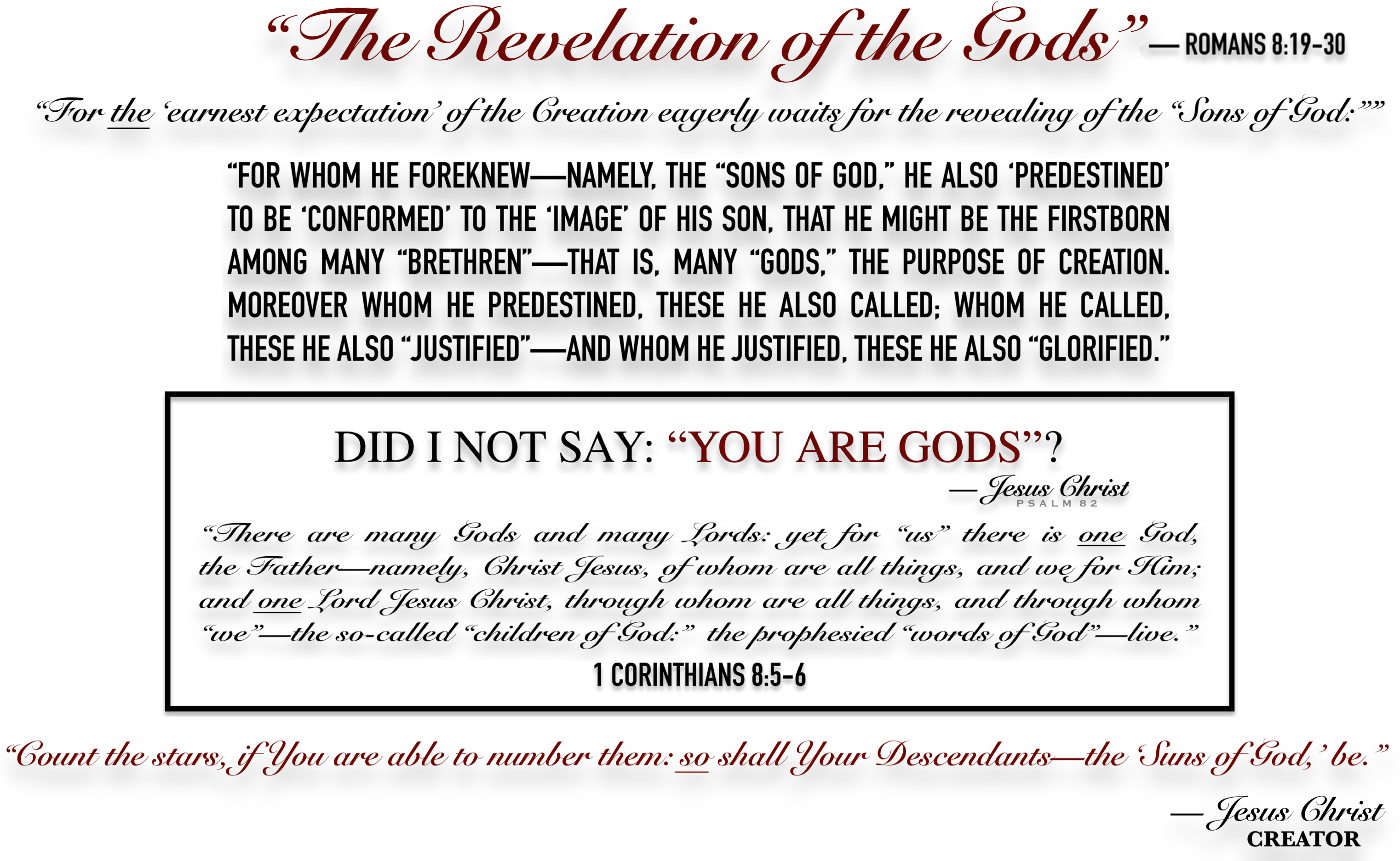 The Revelation Of The Gods - Revolution In The Garden: Memoirs Of The Gardenkeeper (3044x1873), Png Download