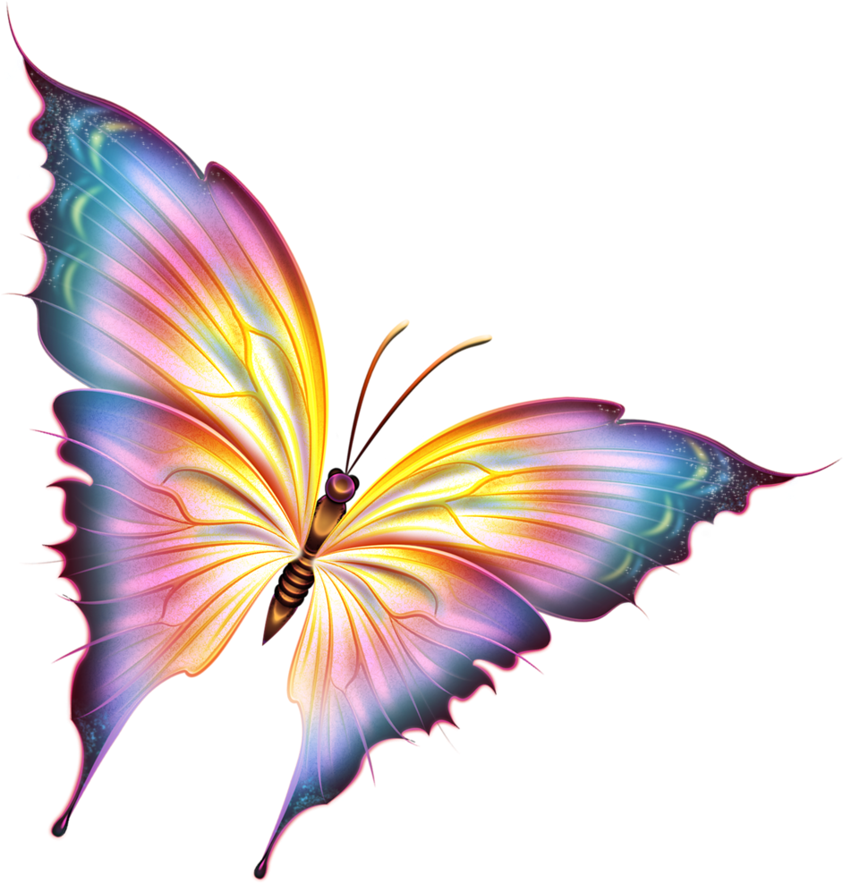 Butterfly Png Beautiful (980x1024), Png Download
