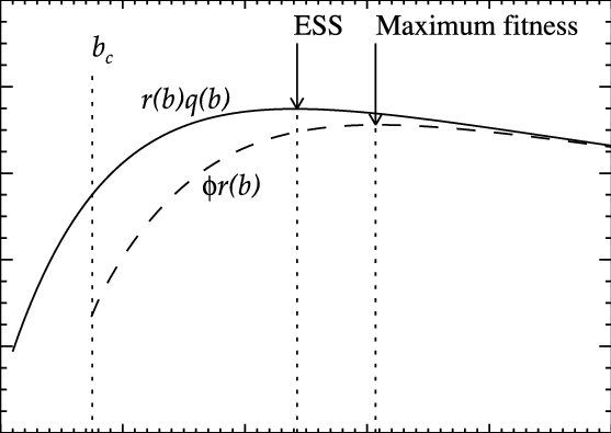 Natural Selection Chooses A Limited Period Of Grammar - Plot (557x395), Png Download