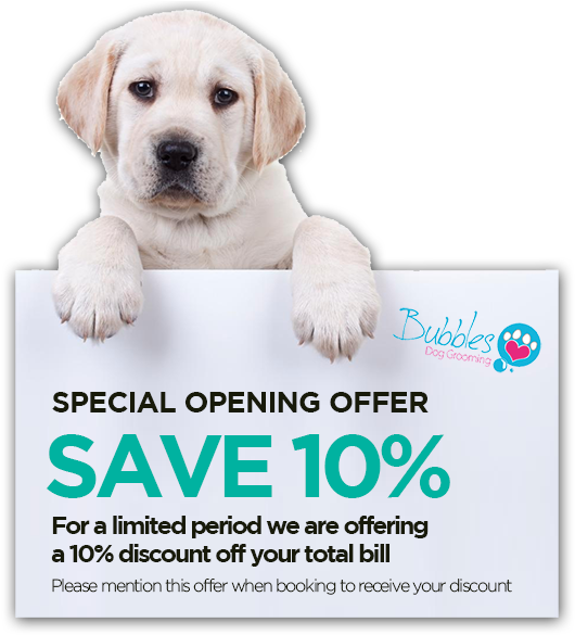 15 Dec Special Opening Offer - Dog Offers (600x604), Png Download