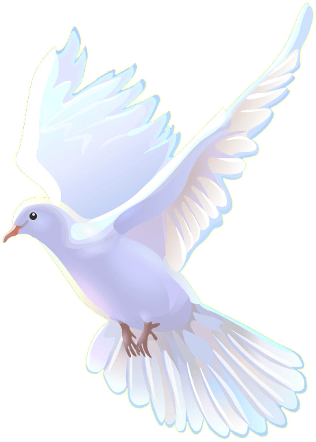 Meshach Taylor Heathers - รูป นก พิราบ ขาว บิน (461x645), Png Download