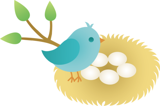 Bird Nest Clipart Clipart Panda Free Clipart Images - Clip Art (550x364), Png Download