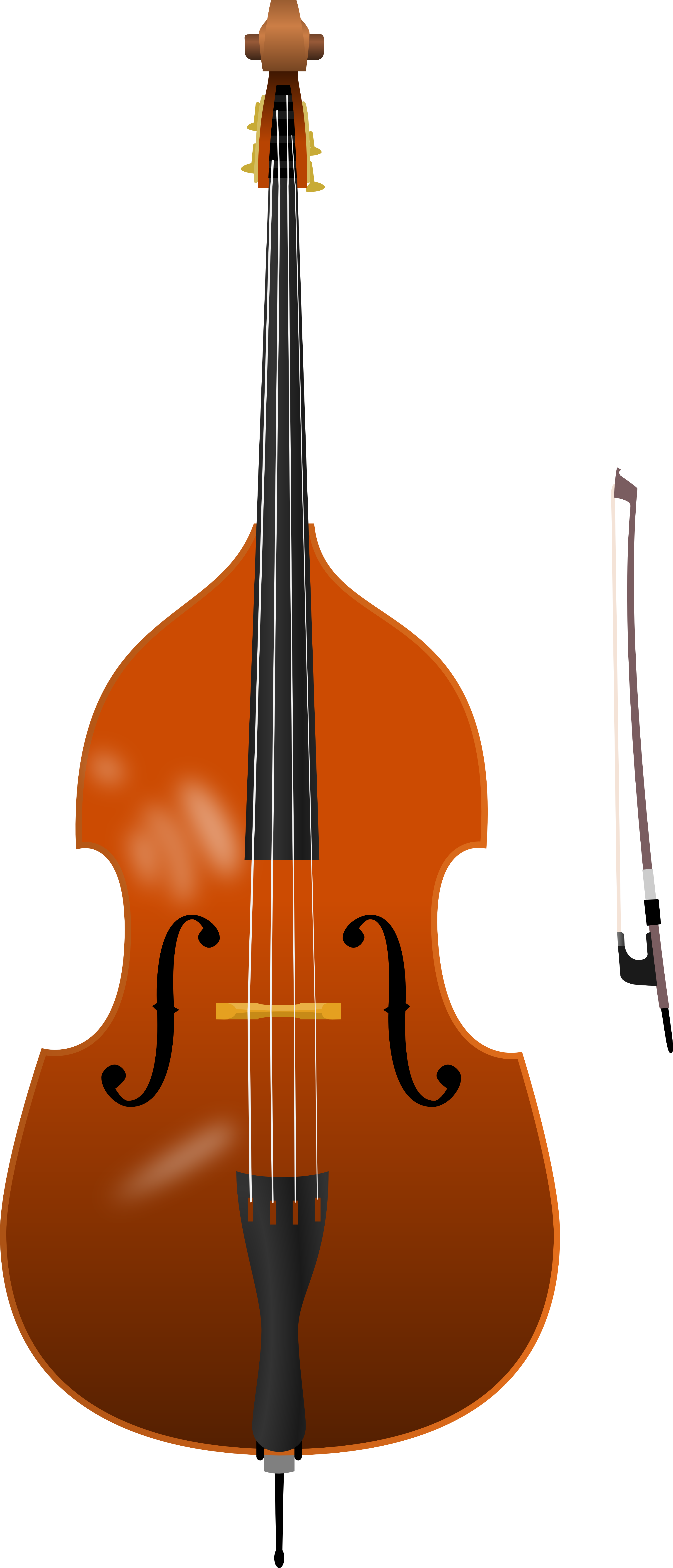 Bird's Nest Clipart - Double Bass Png (2971x6917), Png Download