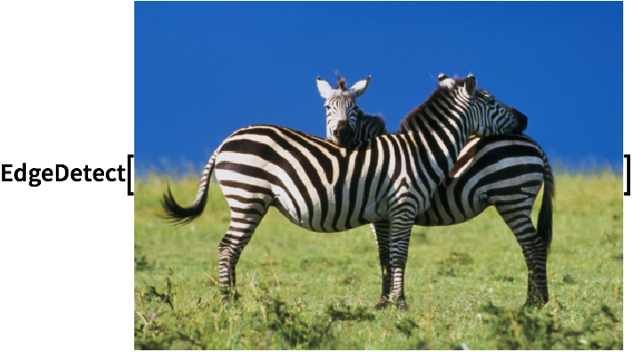 Click For Copyable Input - Zebras Part Of The Horse Family (712x396), Png Download