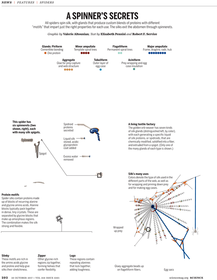 October 20 (729x929), Png Download