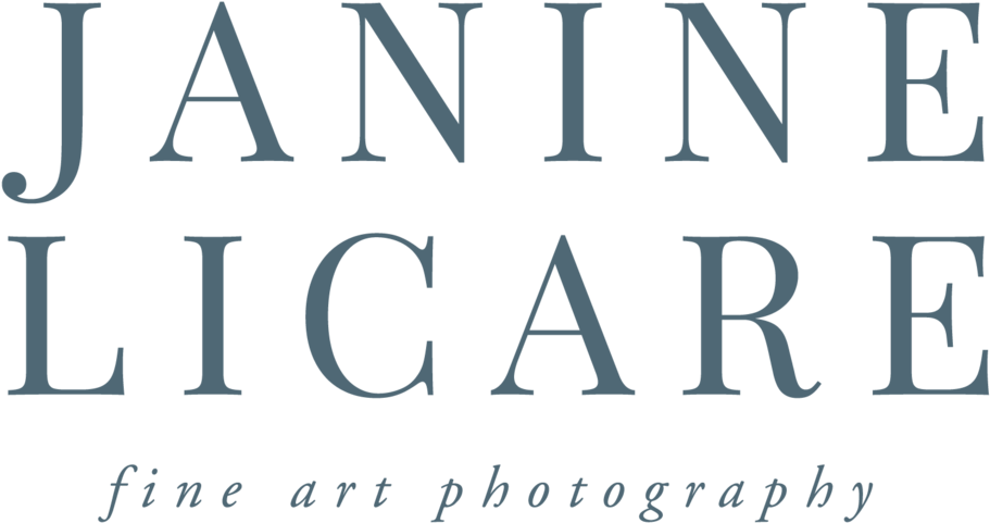 Janine Licare Photography Full Logo 01 - R F Life Changing Skin Care (1000x552), Png Download